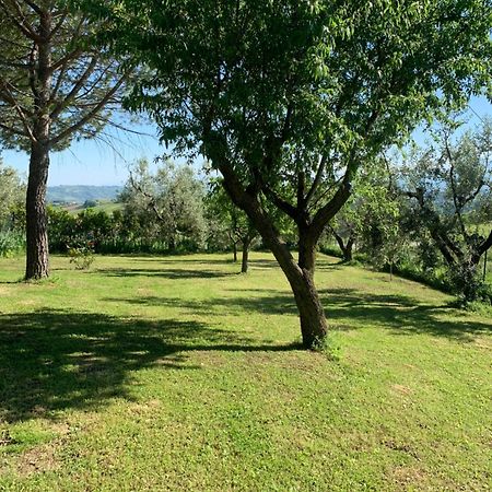 B&B Verdemare Acquaviva Picena Exterior foto